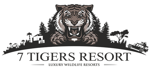 Luxury Resort in Kanha, Best resort in Kanha, Resort in Kanha, Kanha's resort