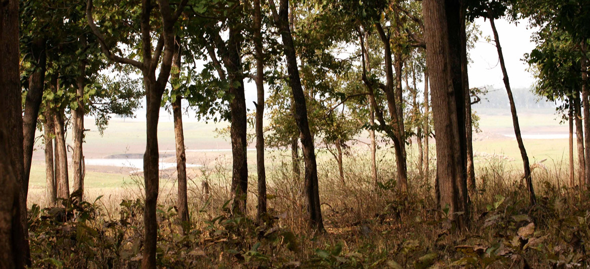 7 Tigers Resort Kanha Responsible Tourism